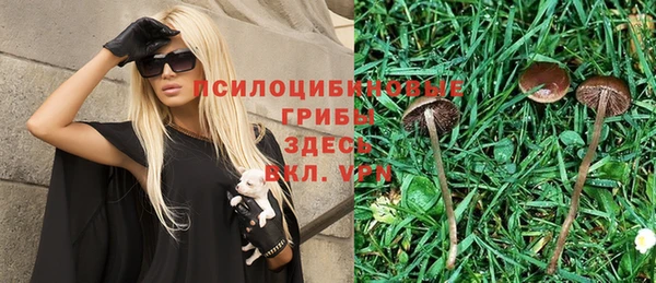 сатива Алексеевка