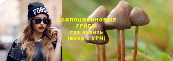 сатива Алексеевка
