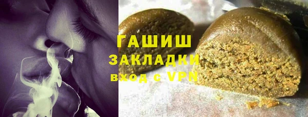 шишки Саяногорск