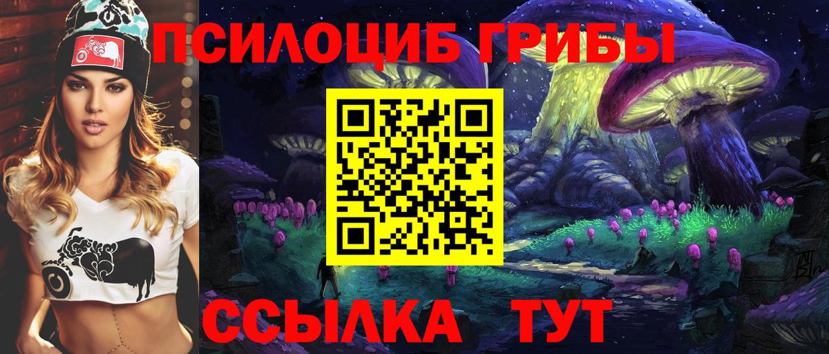 Псилоцибиновые грибы мицелий Похвистнево