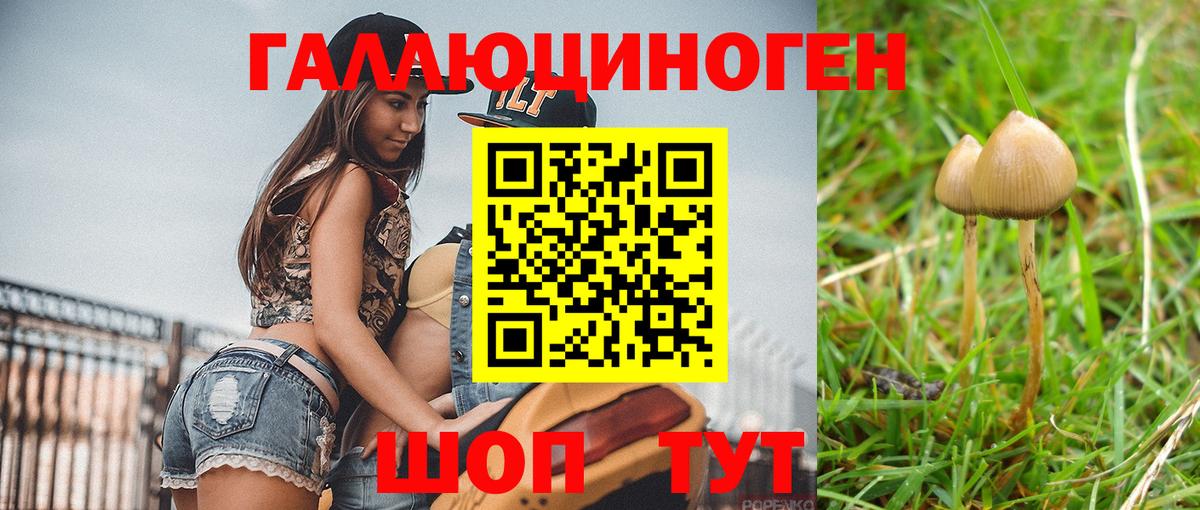 Похвистнево  Псилоцибиновые грибы Psilocybine cubensis  Вход с VPN  Псилоцибиновые грибы Psilocybine cubensis 
